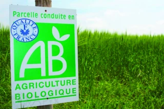 Mise en œuvre du plan de soutien à l’agriculture biologique