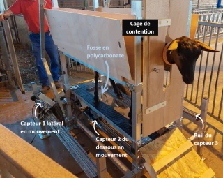 CapriMam3D, l’innovation technologique au service de la traite