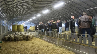 « Construire un secteur agricole ardéchois inclusif, novateur et durable »
