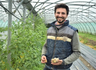 Le gingembre prend racine au Terreau