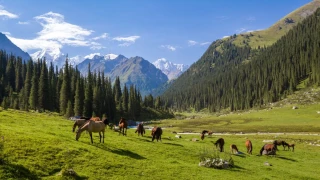 Pourquoi le Kazakhstan est le pays à l'honneur ?