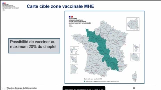MHE : l’ensemble de l’Ardèche concernée par la vaccination gratuite