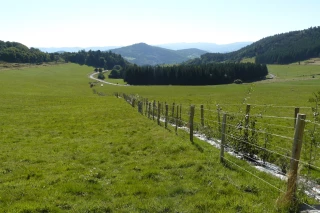 Le Pacte Haie en Ardèche : des aides techniques et financières pour les projets agroforestiers !