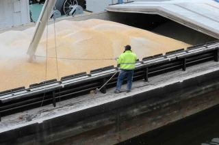 La France chahutée à l’export sur le marché du blé