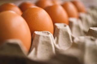 Œufs : une centaine de projets sont en gestation