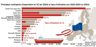 Des quotas d’importation de viande bovine vers l’UE non utilisés